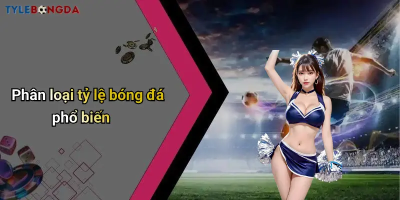 Phân loại tỷ lệ bóng đá phổ biến
