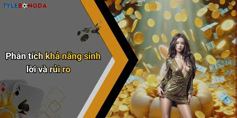 Phân tích khả năng sinh lời và rủi ro