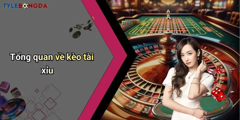 Tổng quan về kèo tài xỉu