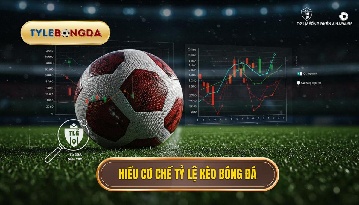Hiểu Rõ Cơ Chế Của Tỷ Lệ Kèo – Nền Tảng Của Nghệ Thuật Soi Tỷ Lệ Bóng Đá