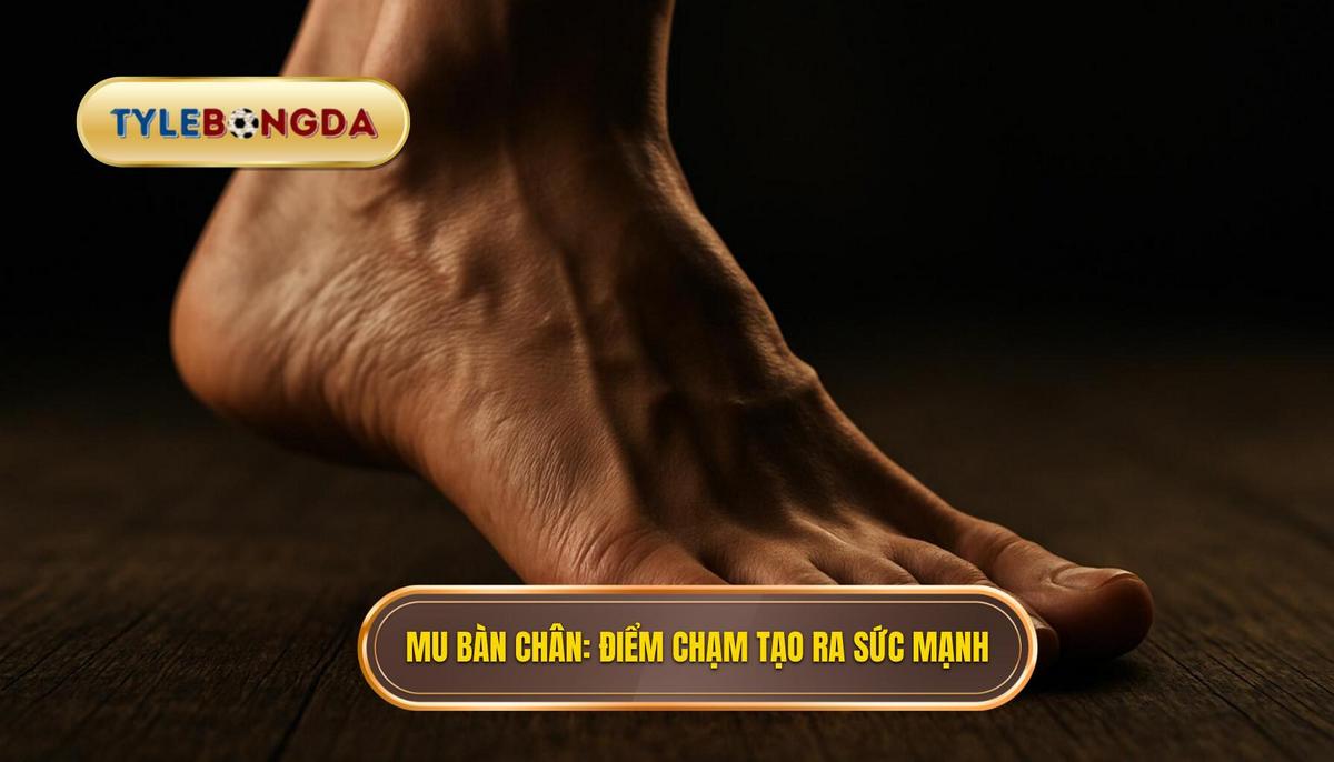 Mu Bàn Chân_ Điểm Chạm Vàng Tạo Ra Sức Mạnh Tối Đa