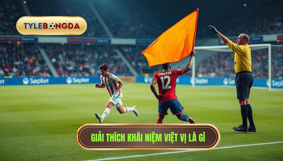 Định nghĩa cơ bản: Việt vị là gì?