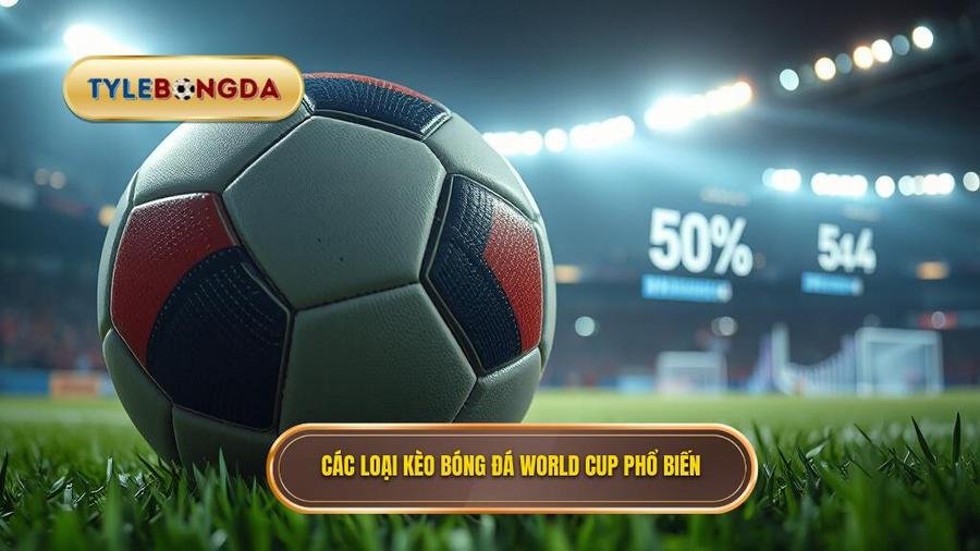 Các loại kèo phổ biến trong tỷ lệ bóng đá World Cup